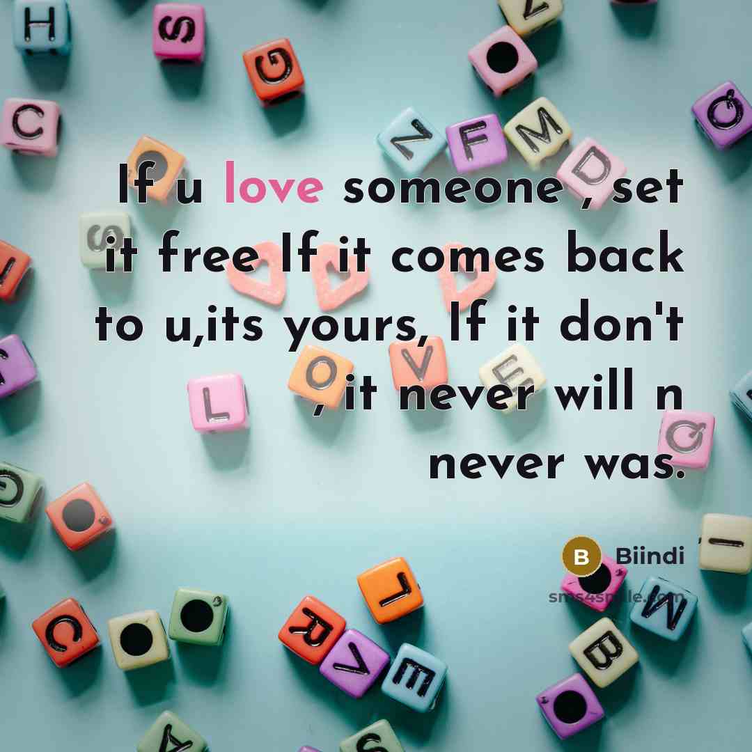 “If u love someone , set it free If it comes back to u,its yours, If it don't , it never will n never was.” quote by Biindi