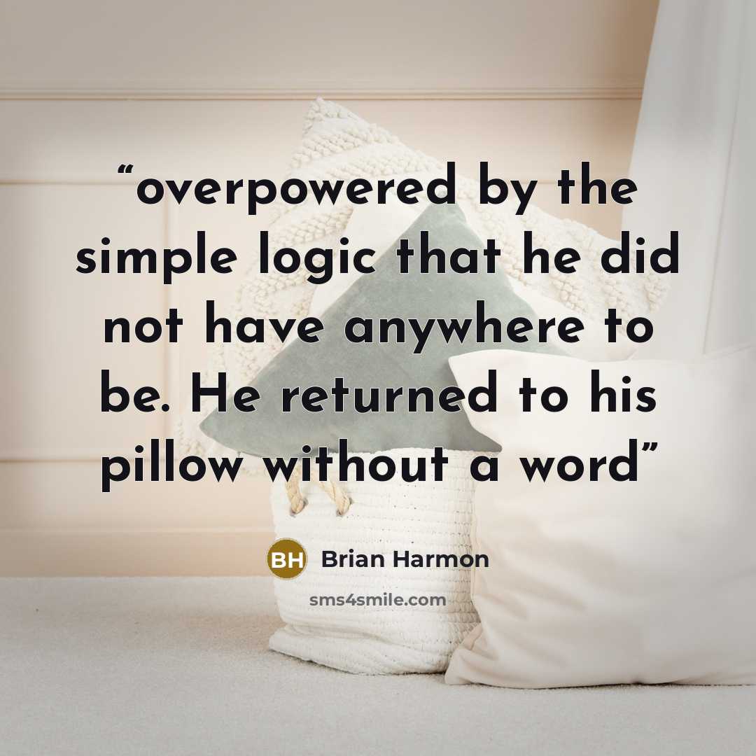 “overpowered by the simple logic that he did not have anywhere to be. He returned to his pillow without a word” quote by Brian Harmon
