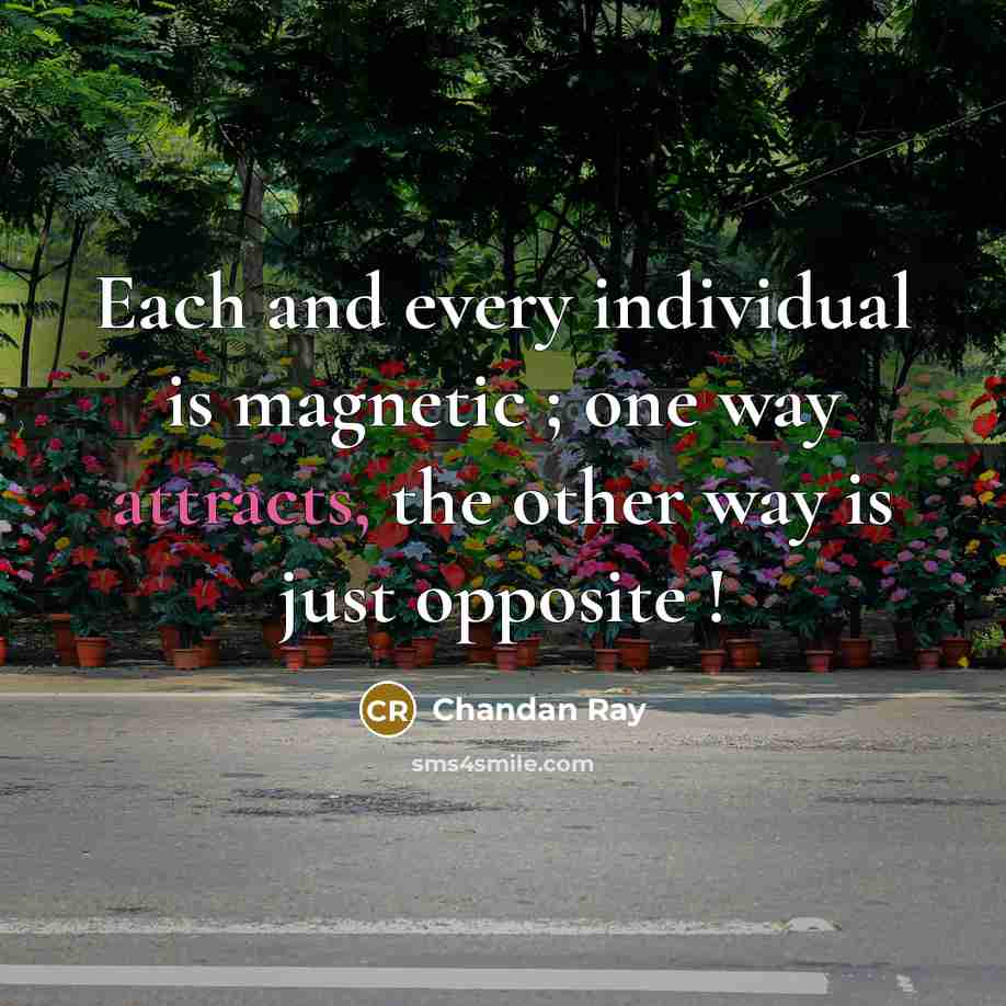 “Each and every individual is magnetic ; one way attracts, the other way is just opposite !” quote by Chandan Ray