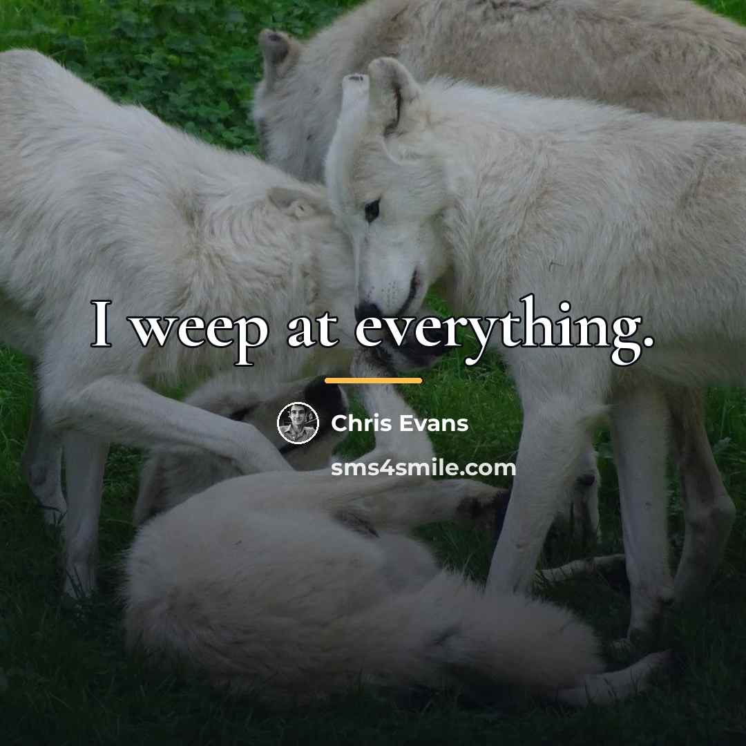 “I weep at everything.…” quote by Chris Evans