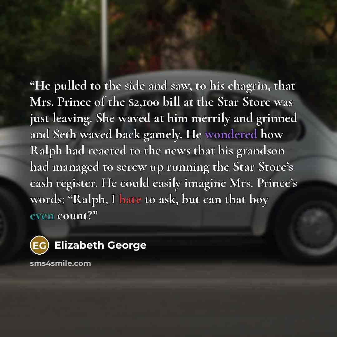 “He pulled to the side and saw, to his chagrin, that Mrs. Prince of the $2,100 bill at the Star Store was just leaving. She waved at him merrily and grinned and Seth waved back gamely. He wondered how Ralph had reacted to the news that his grandson had managed to screw up running the Star Store’s…” quote by Elizabeth George
