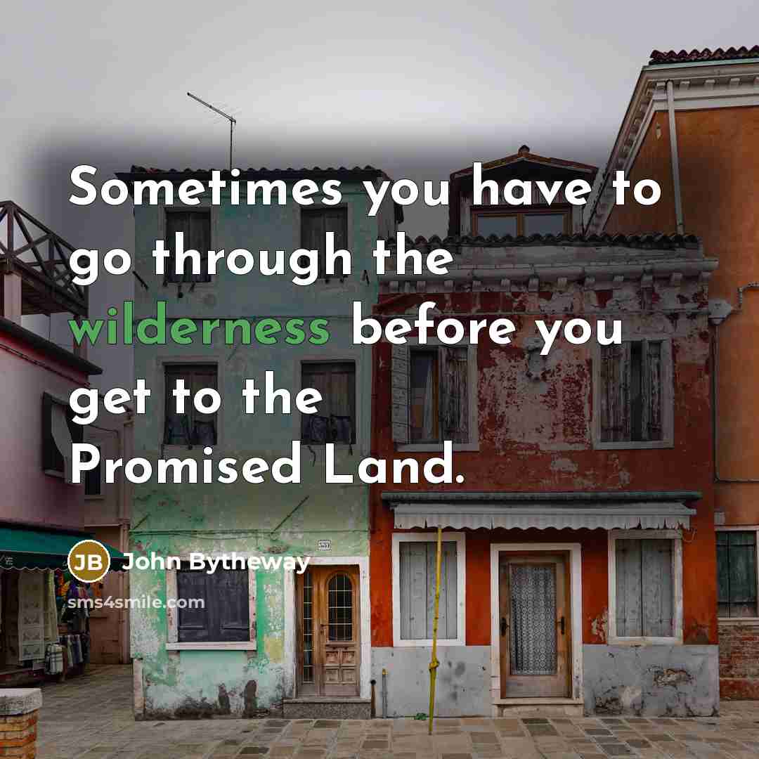 “Sometimes you have to go through the wilderness before you…” quote by John Bytheway