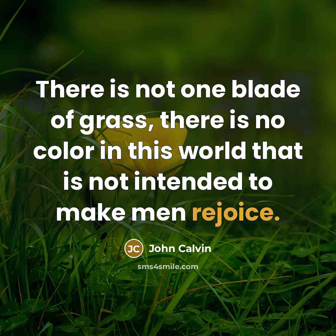 “There is not one blade of grass, there is no…” quote by John Calvin