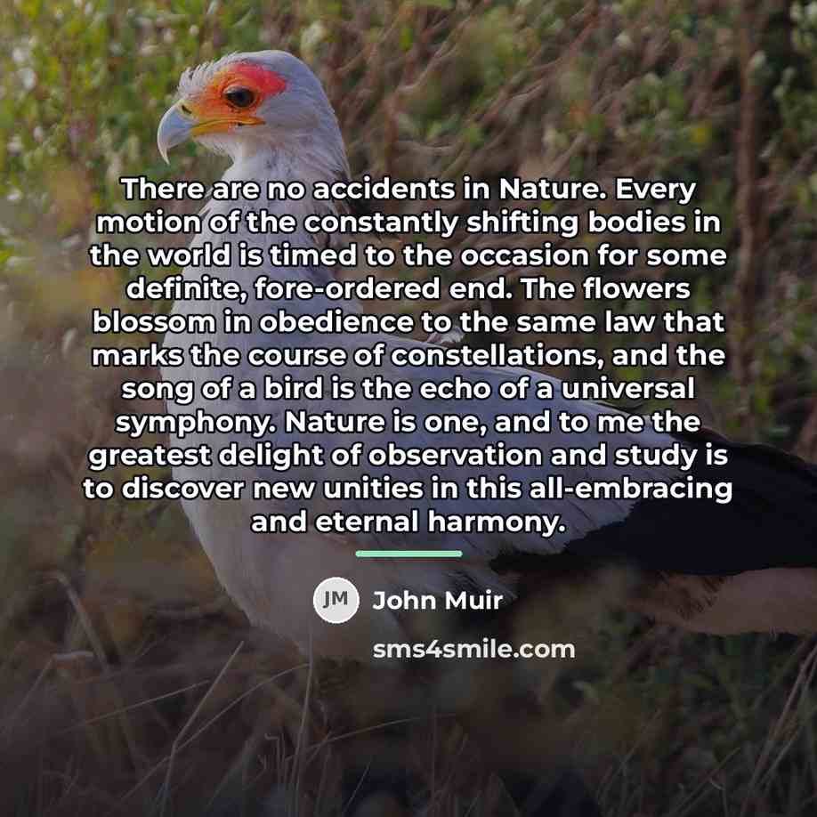 “There are no accidents in Nature. Every motion of the…” quote by John Muir