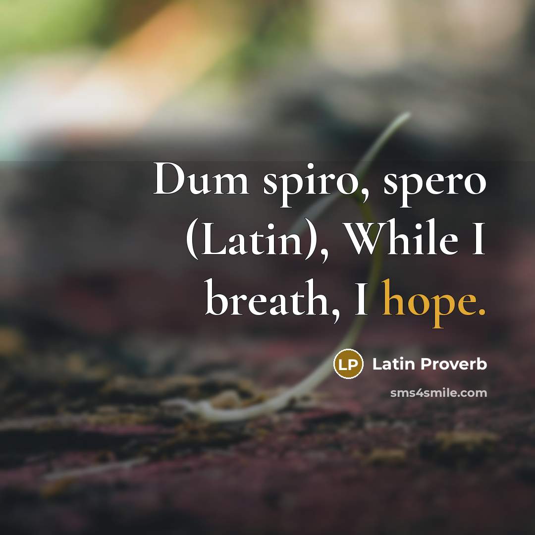 “Dum spiro, spero (Latin), While I breath, I hope.…” quote by Latin Proverb