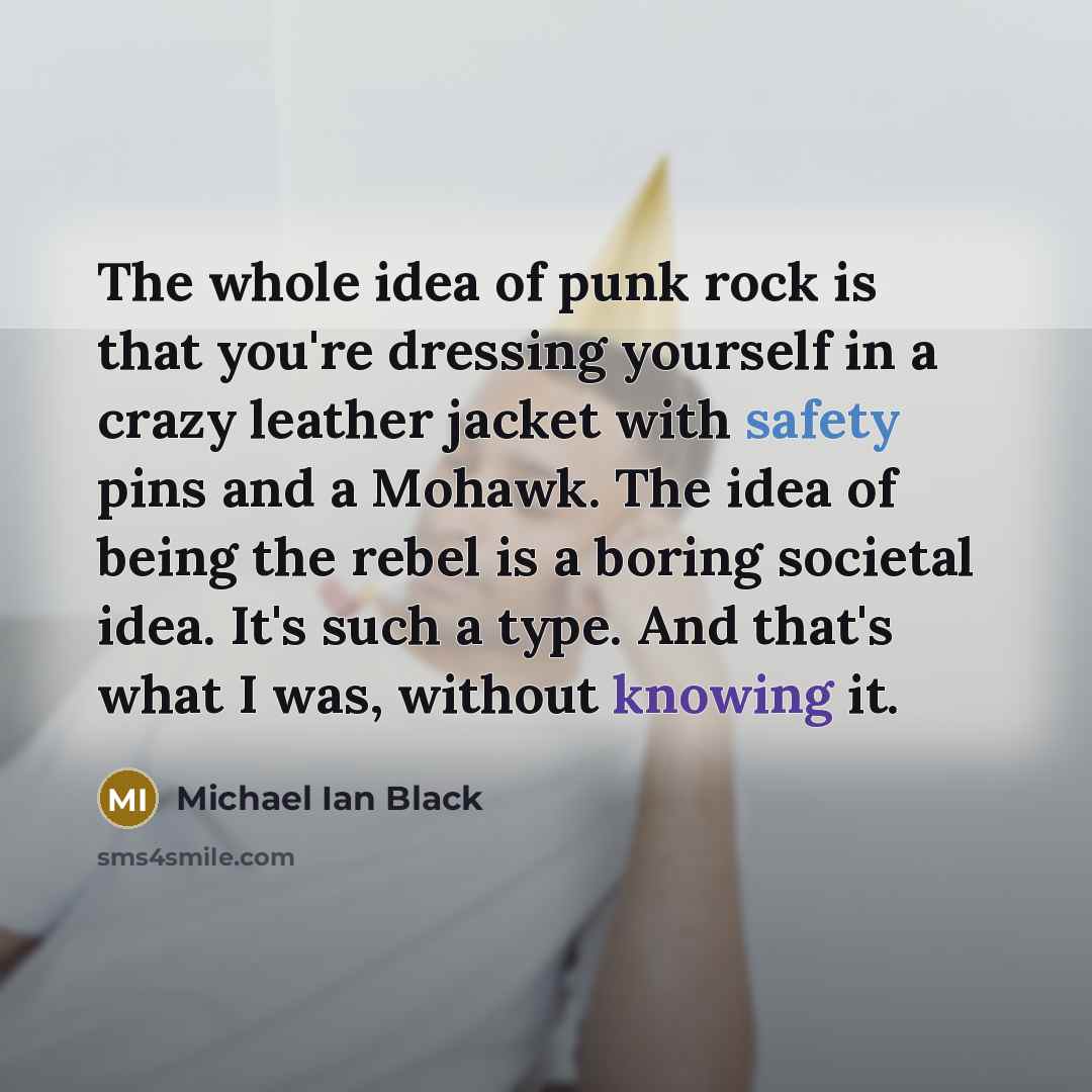 “The whole idea of punk rock is that you're dressing…” quote by Michael Ian Black