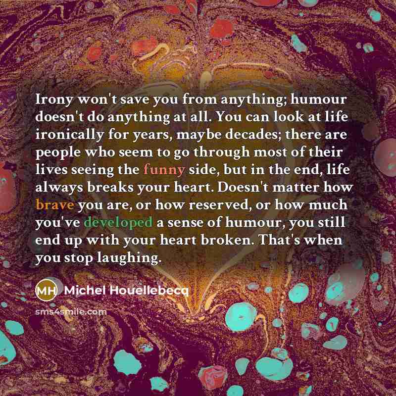 “Irony won't save you from anything; humour doesn't do anything…” quote by Michel Houellebecq