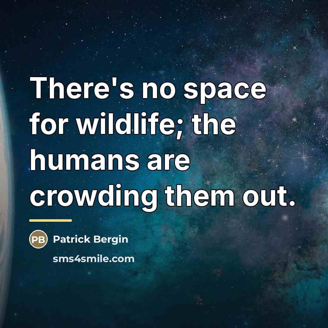 “There's no space for wildlife; the humans are crowding them…” quote by Patrick Bergin