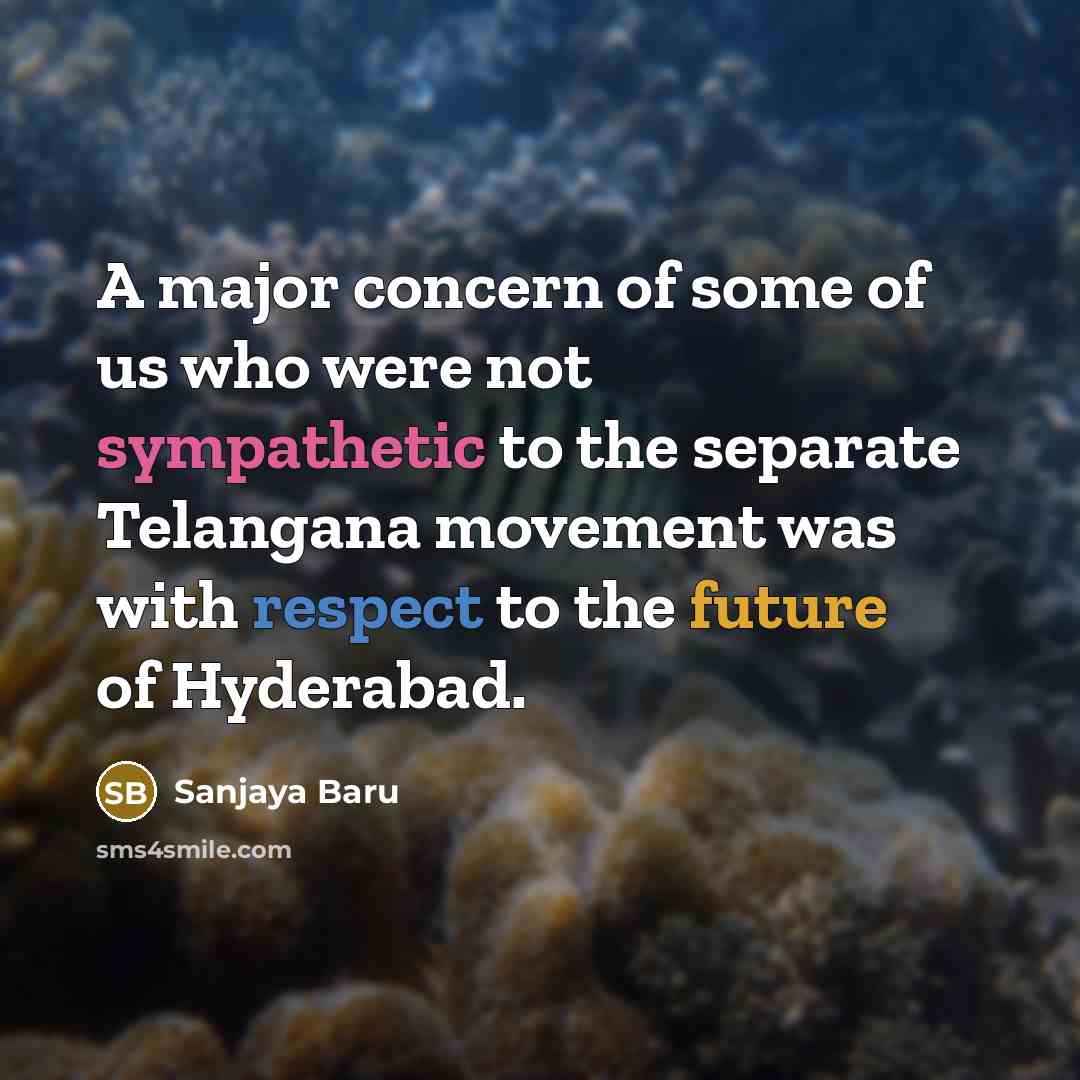 “A major concern of some of us who were not…” quote by Sanjaya Baru