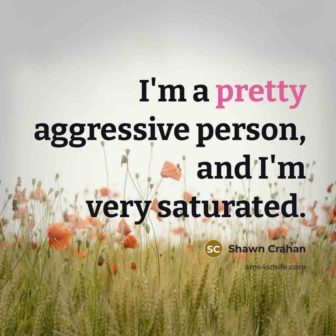 “I'm a pretty aggressive person, and I'm very saturated.…” quote by Shawn Crahan