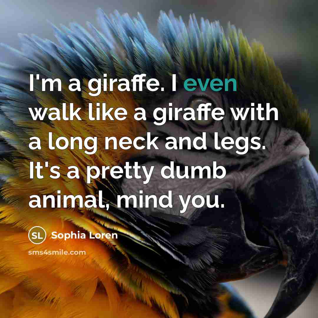 “I'm a giraffe. I even walk like a giraffe with…” quote by Sophia Loren