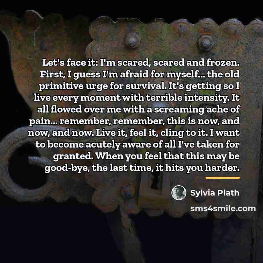 “Let's face it: I'm scared, scared and frozen. First, I…” quote by Sylvia Plath