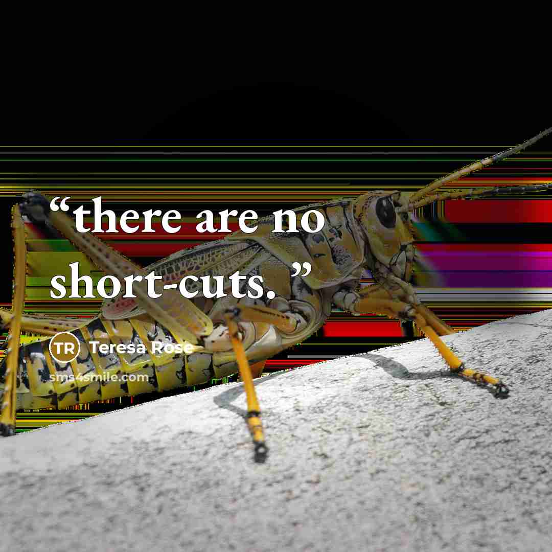 “there are no short-cuts.” quote by Teresa Rose