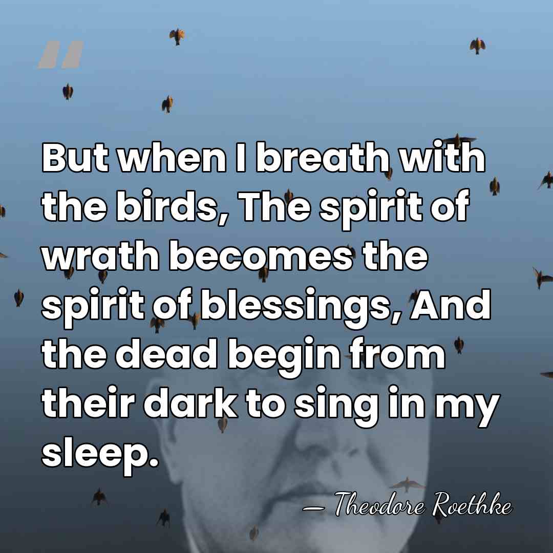 But when I breath with the birds, The spirit of wrath becomes&hellip; - Theodore Roethke