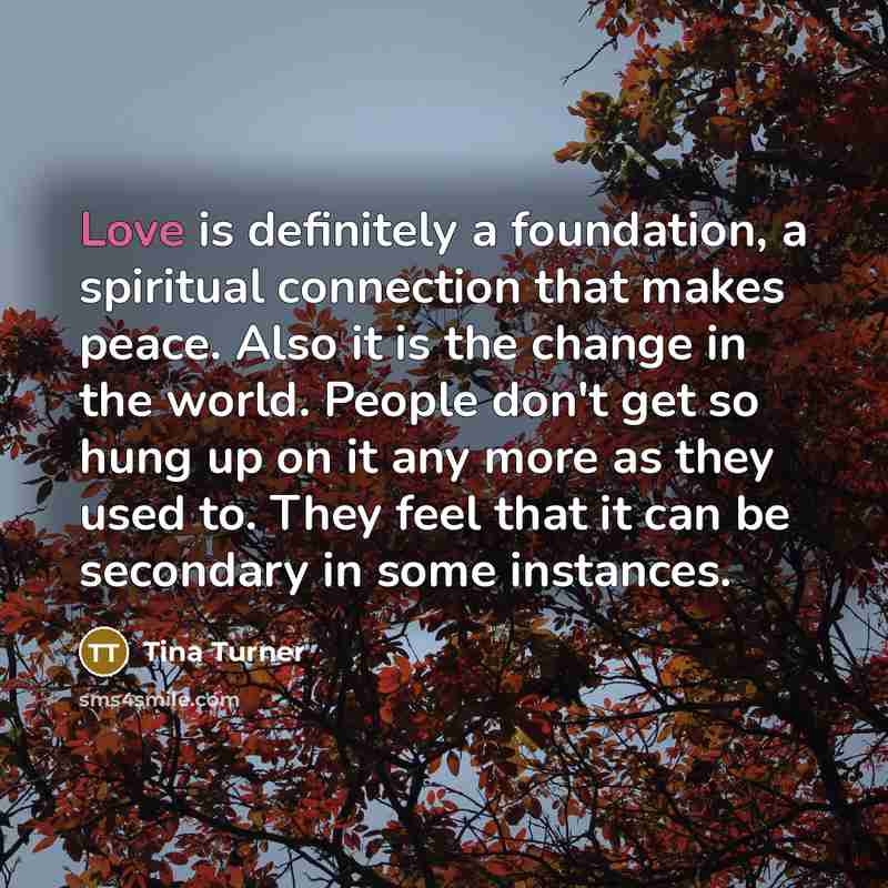 “Love is definitely a foundation, a spiritual connection that makes…” quote by Tina Turner