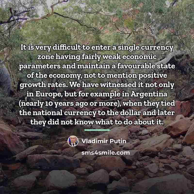 “It is very difficult to enter a single currency zone…” quote by Vladimir Putin