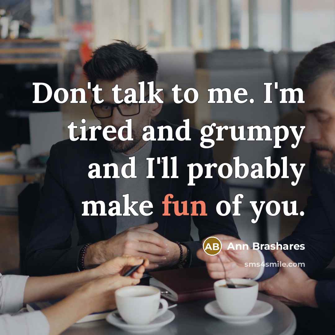 “Don't talk to me. I'm tired and grumpy and I'll…” quote by Ann Brashares