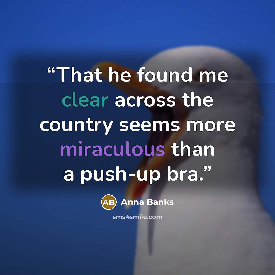 “That he found me clear across the country seems more miraculous than a push-up bra.” quote by Anna Banks