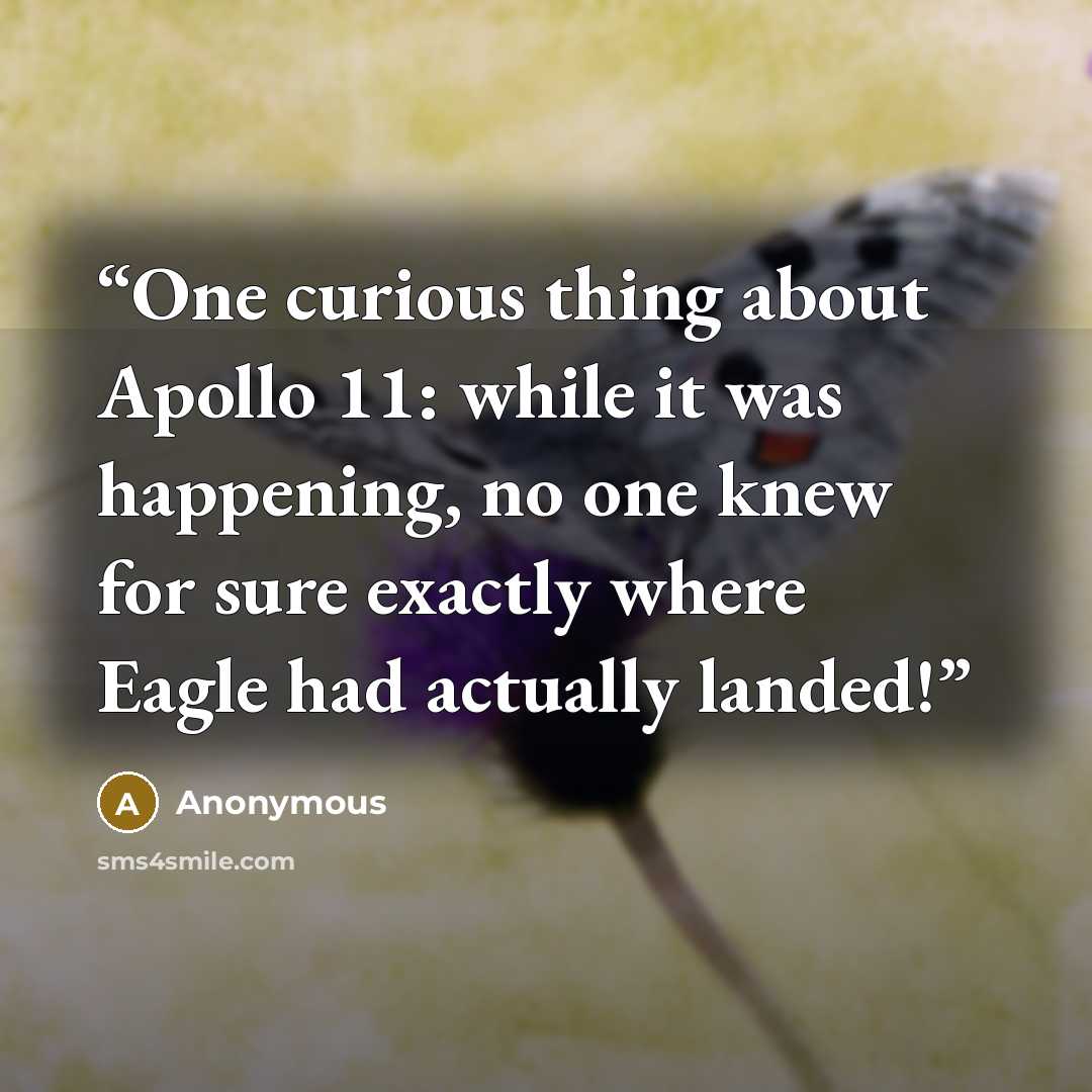 “One curious thing about Apollo 11: while it was happening, no one knew for sure exactly where Eagle had actually landed!” quote by Anonymous