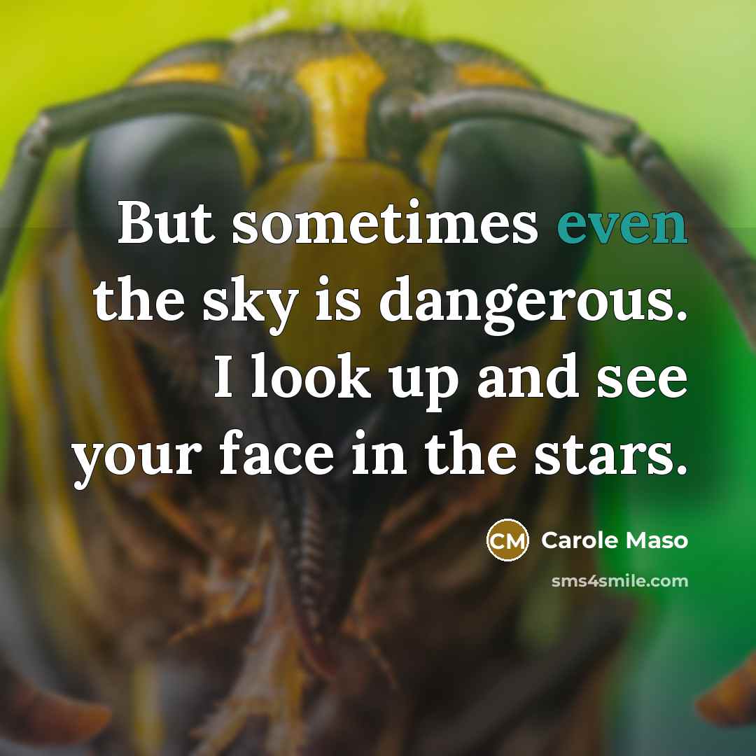 “But sometimes even the sky is dangerous. I look up…” quote by Carole Maso