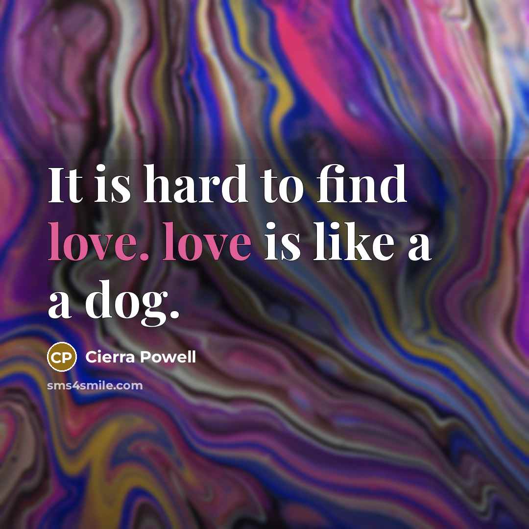 “It is hard to find love. love is like a a dog.” quote by Cierra Powell