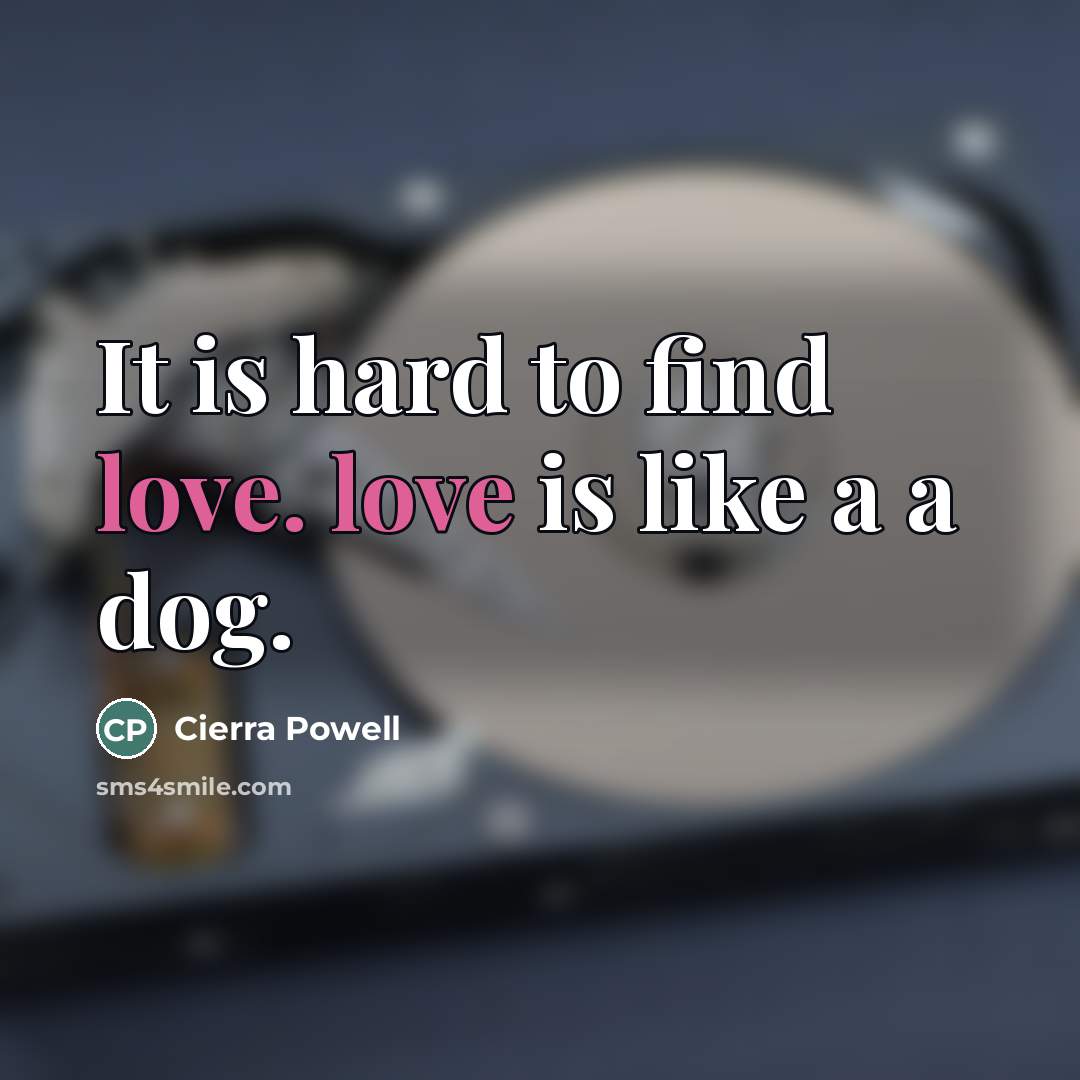 “It is hard to find love. love is like a…” quote by Cierra Powell