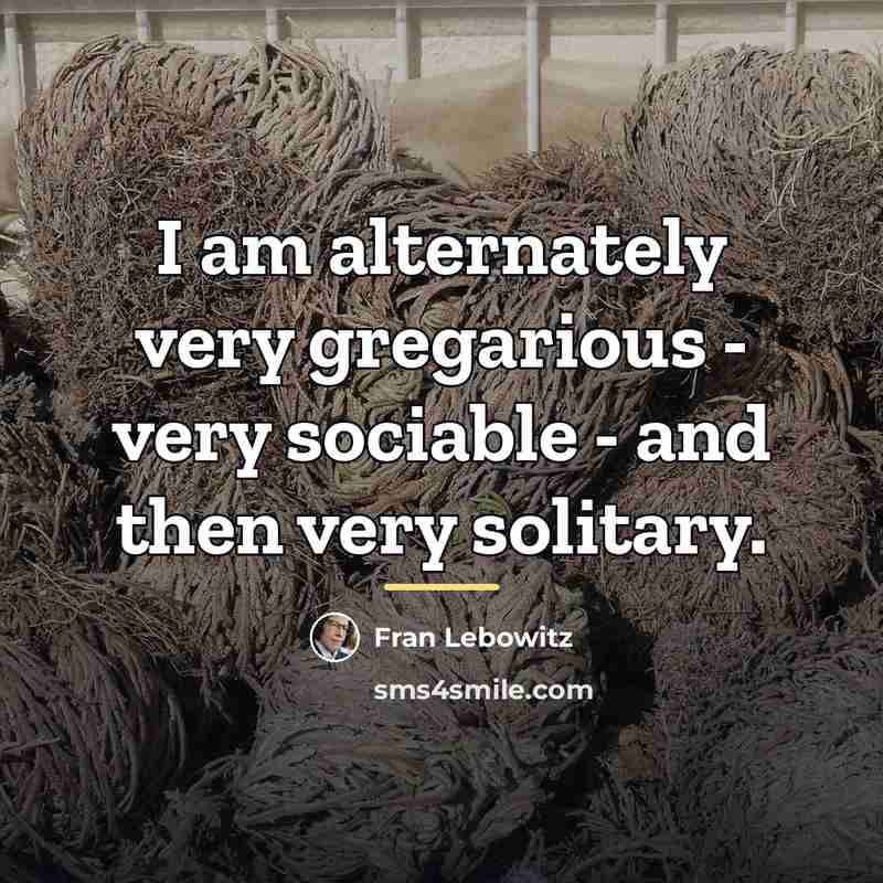 “I am alternately very gregarious - very sociable - and…” quote by Fran Lebowitz