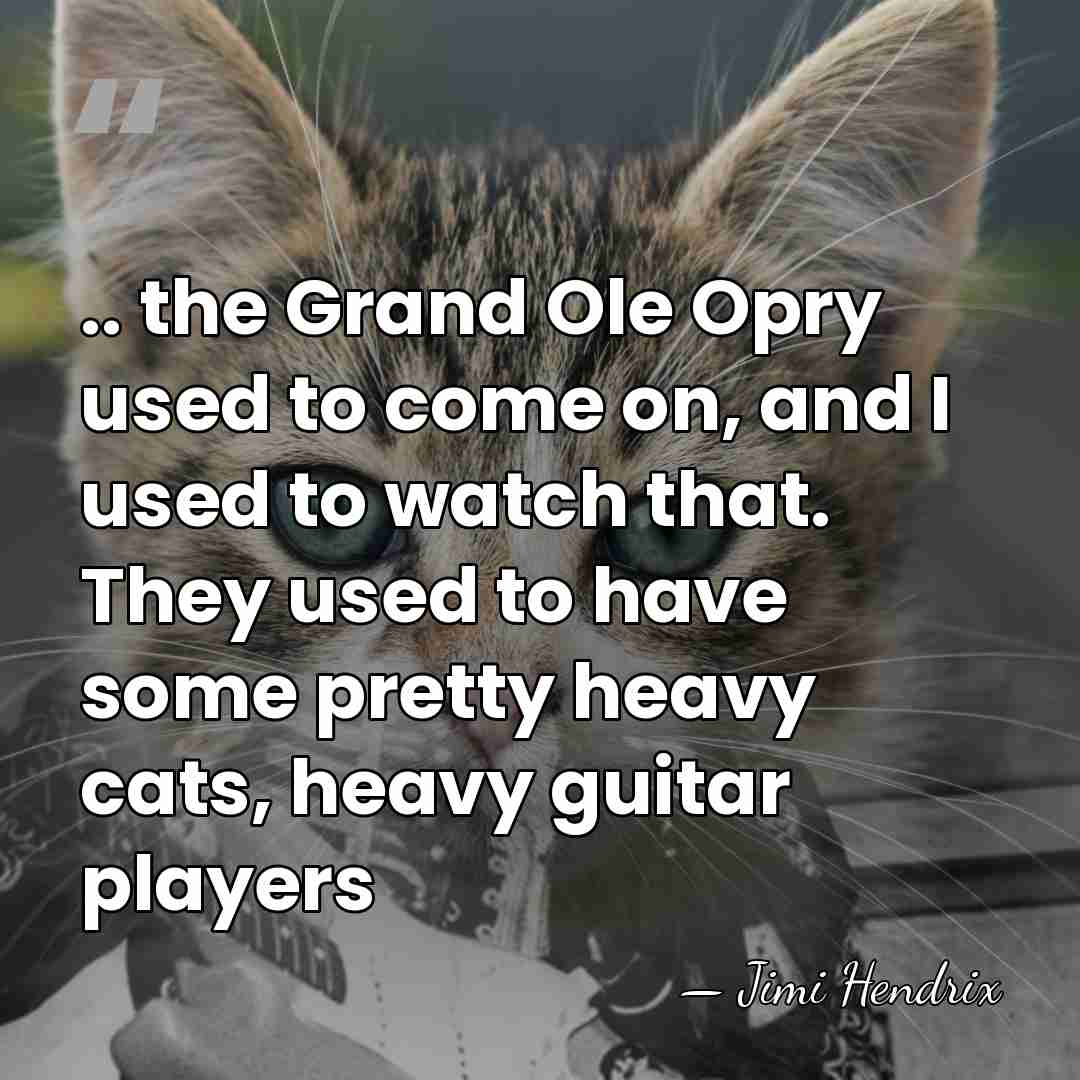 .. the Grand Ole Opry used to come on, and I used&hellip; - Jimi Hendrix