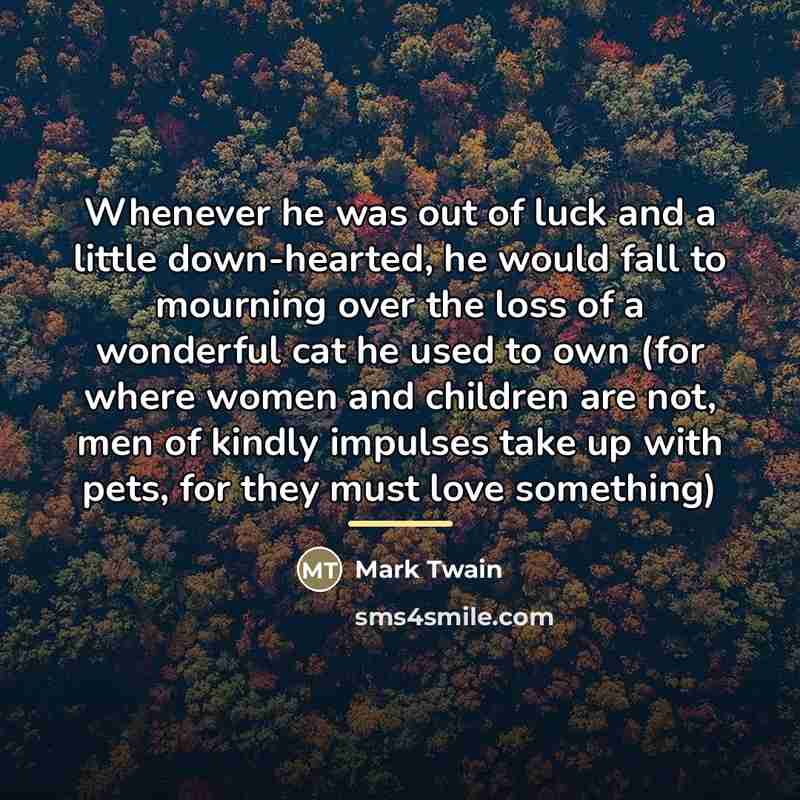 “Whenever he was out of luck and a little down-hearted,…” quote by Mark Twain