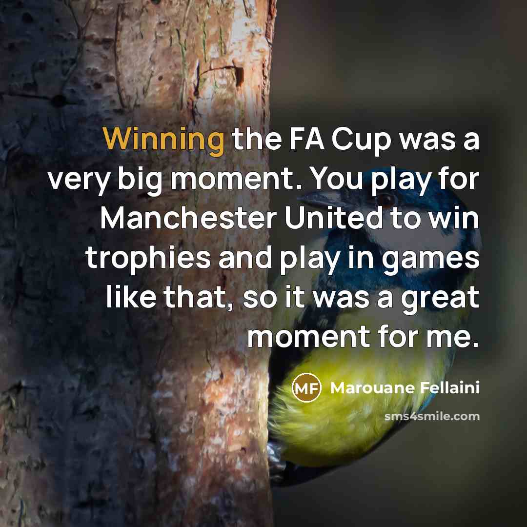 “Winning the FA Cup was a very big moment. You…” quote by Marouane Fellaini
