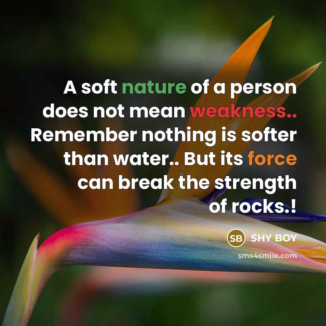 “A soft nature of a person does not mean weakness..…” quote by SHy BOy