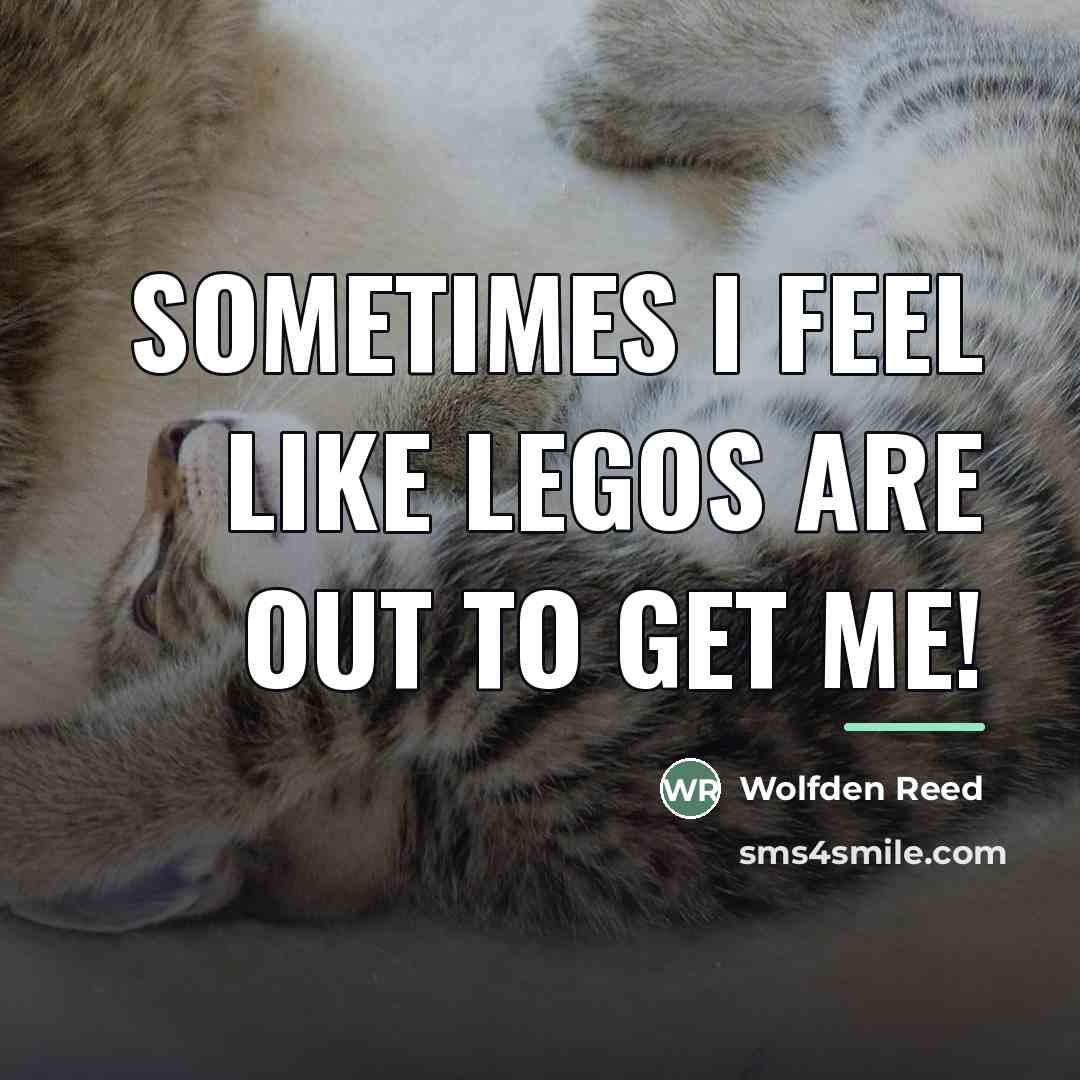 “Sometimes I feel like Legos are out to get me!…” quote by Wolfden Reed