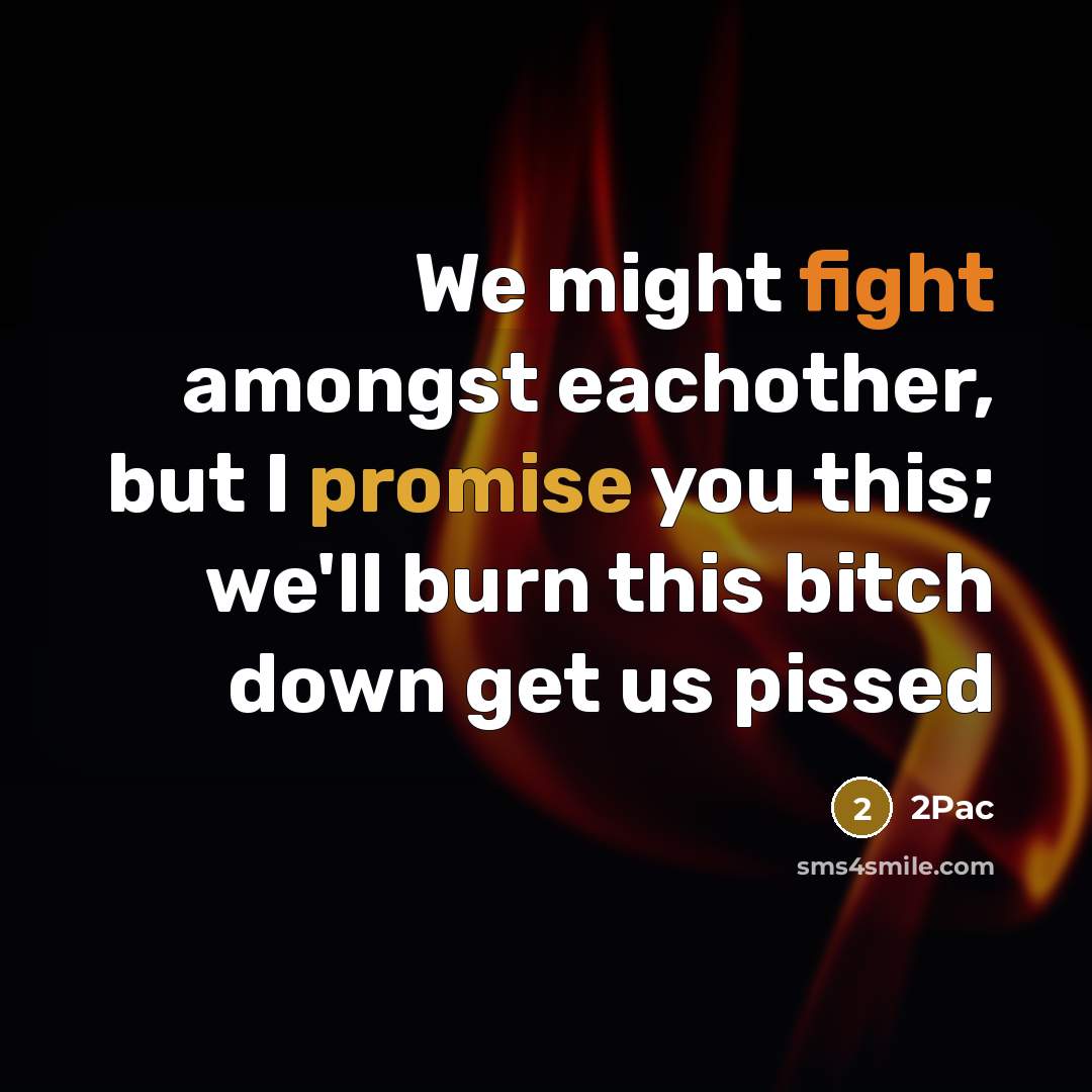 “We might fight amongst eachother, but I promise you this; we'll burn this bitch down get us pissed” quote by 2Pac