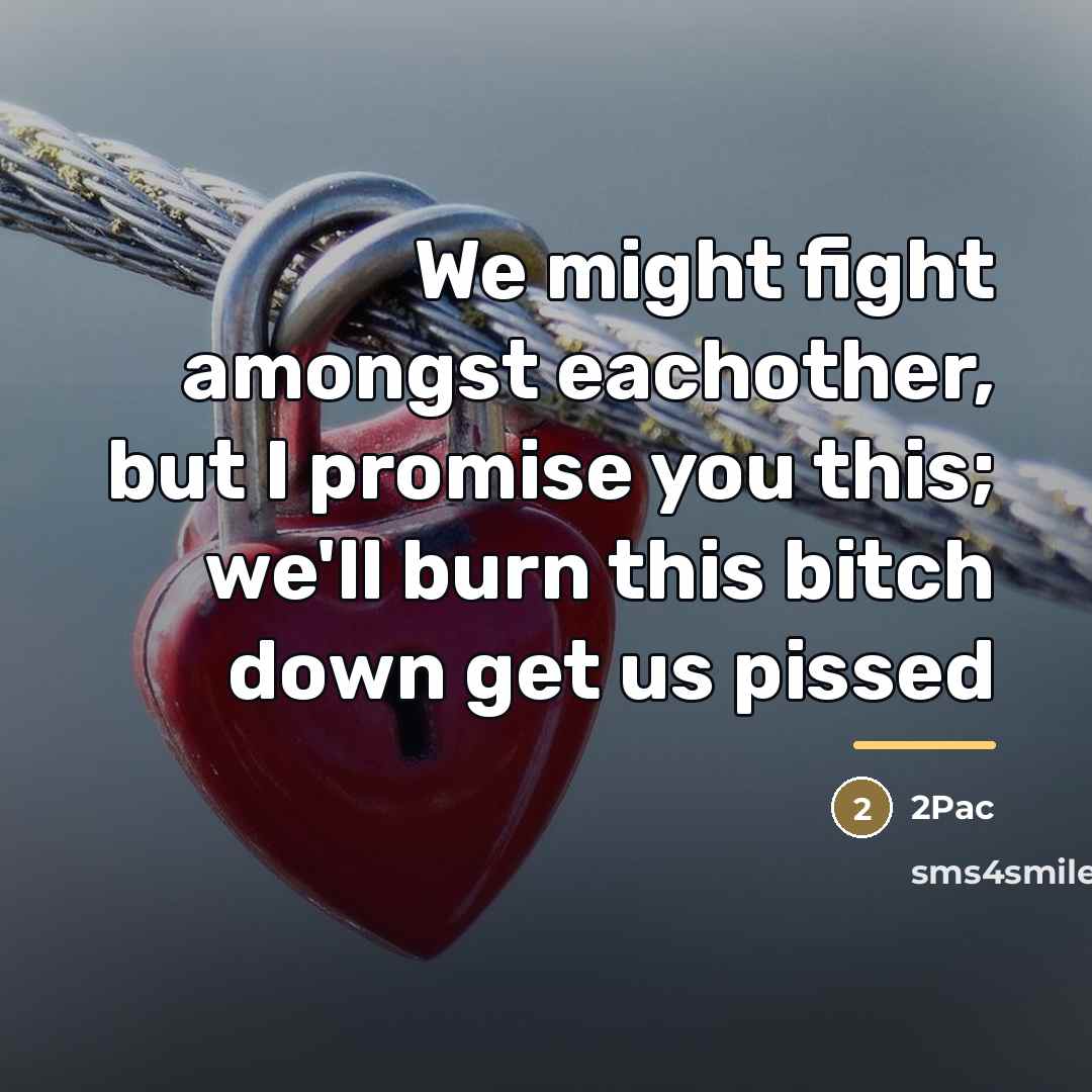 “We might fight amongst eachother, but I promise you this;…” quote by 2Pac