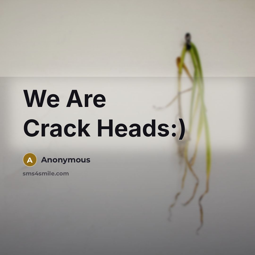 “We Are Crack Heads:)” quote by Anonymous