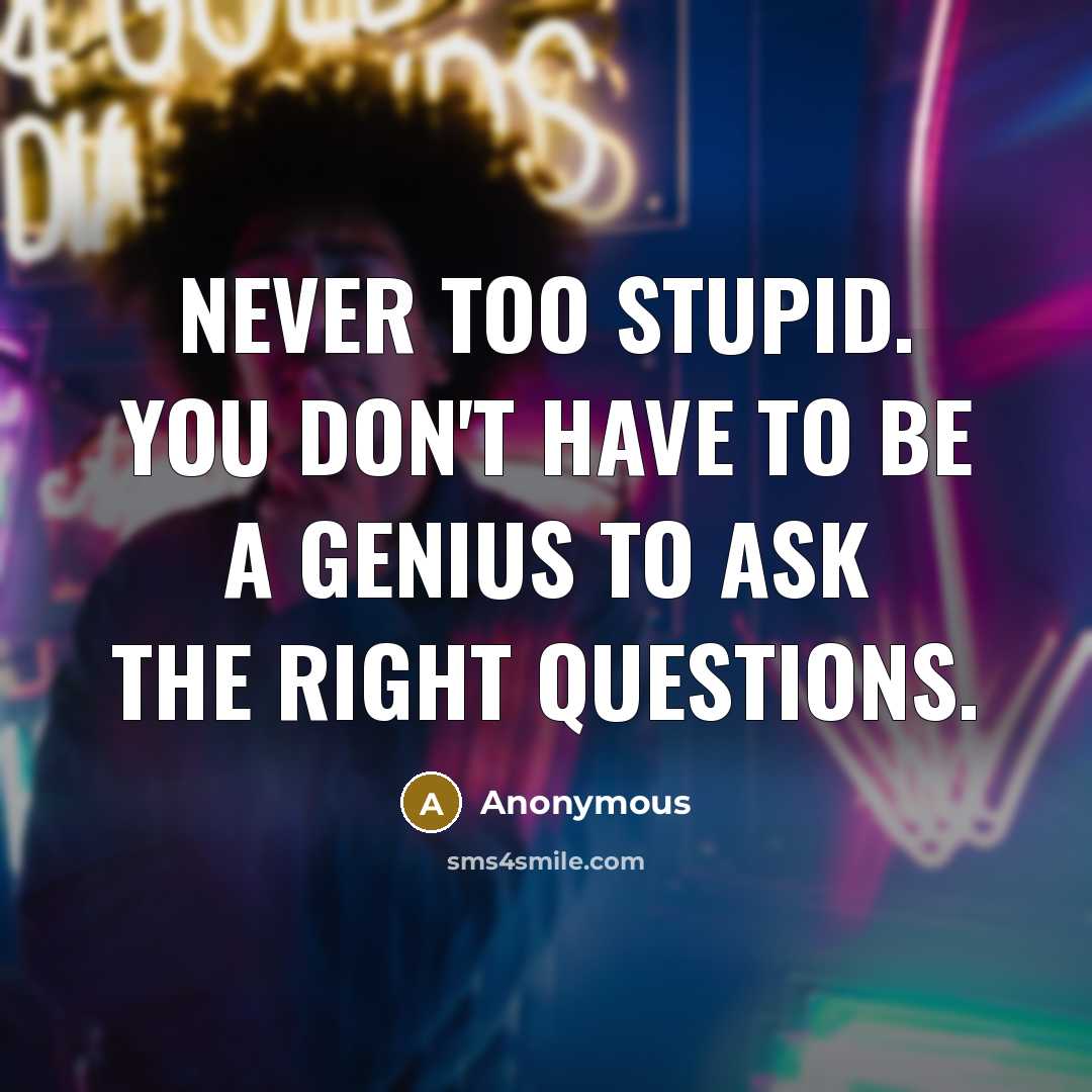 “Never too stupid. You don't have to be a genius…” quote by Anonymous