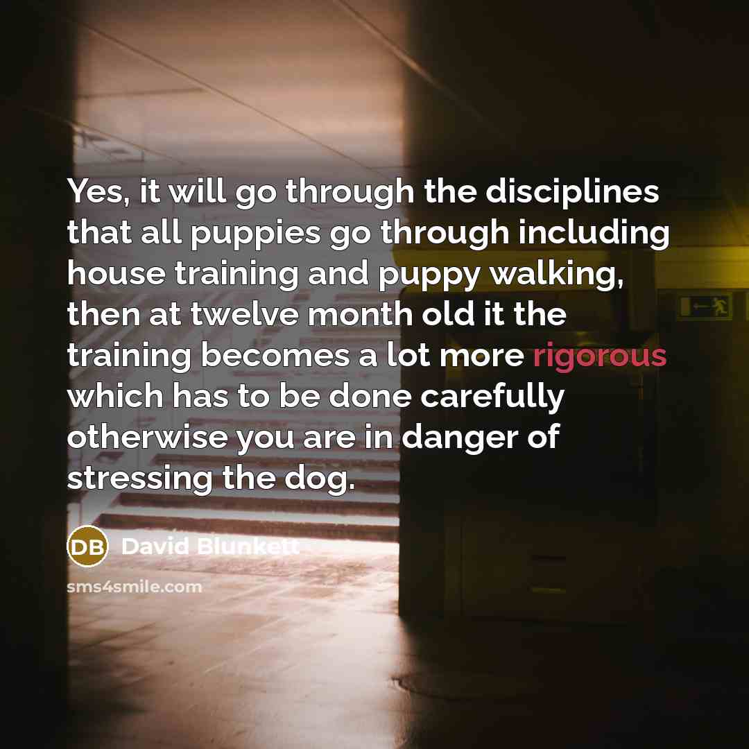 “Yes, it will go through the disciplines that all puppies…” quote by David Blunkett