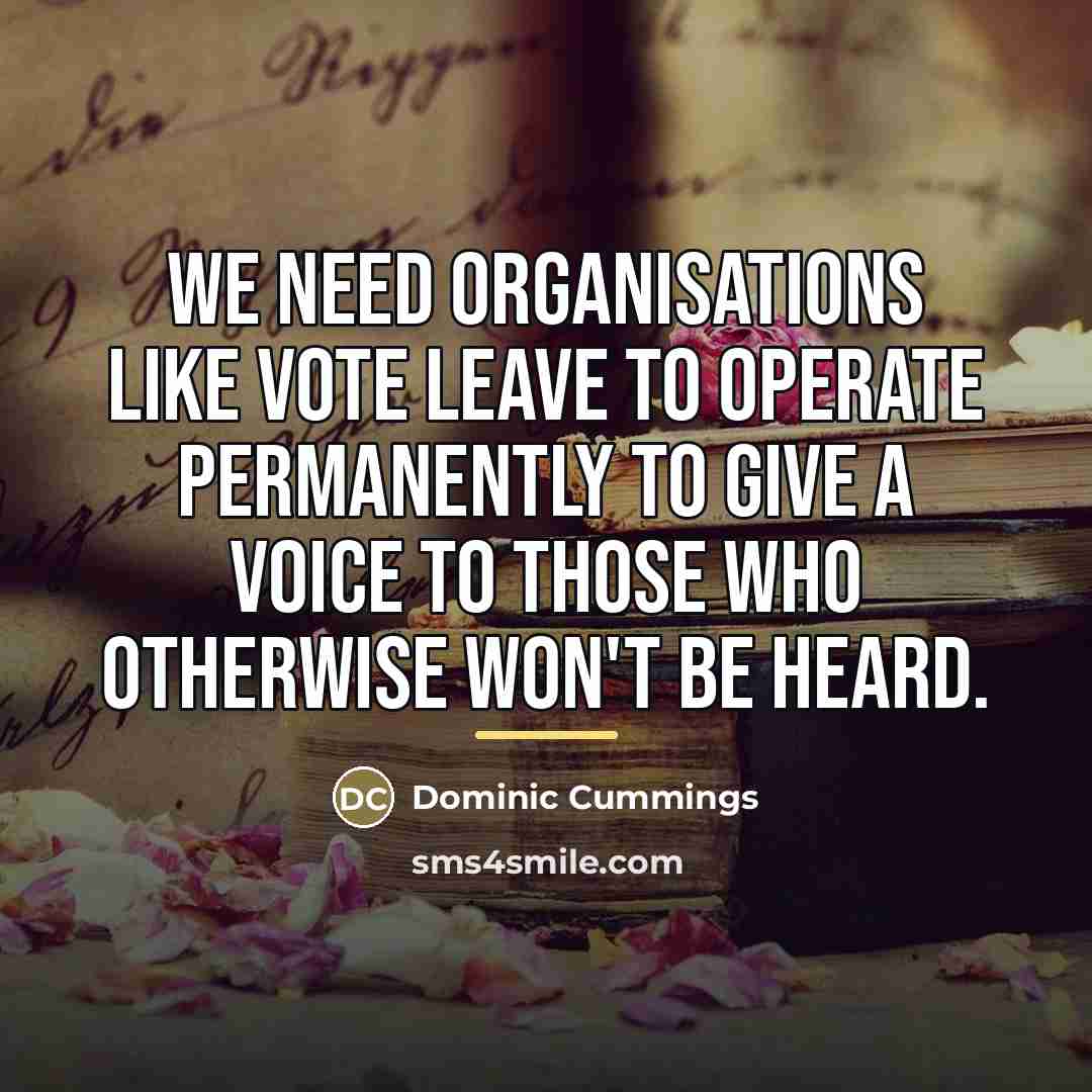“We need organisations like Vote Leave to operate permanently to…” quote by Dominic Cummings