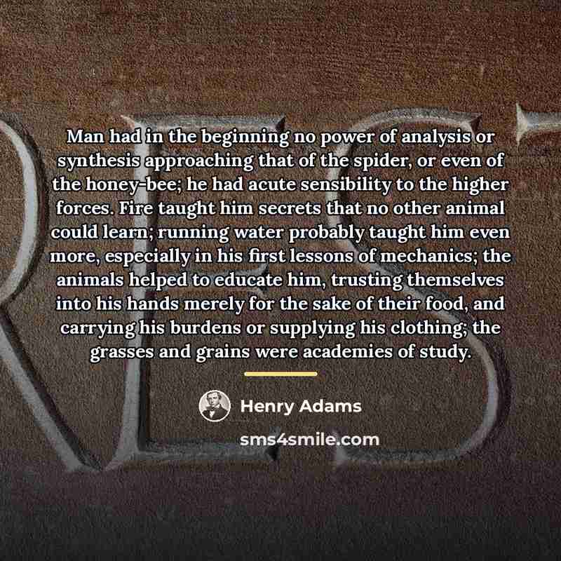 “Man had in the beginning no power of analysis or…” quote by Henry Adams