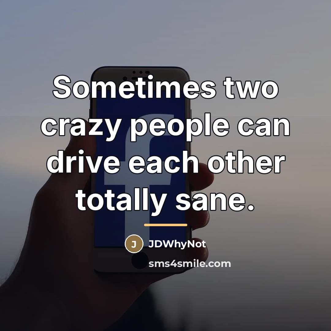 “Sometimes two crazy people can drive each other totally sane.…” quote by JDWhyNot