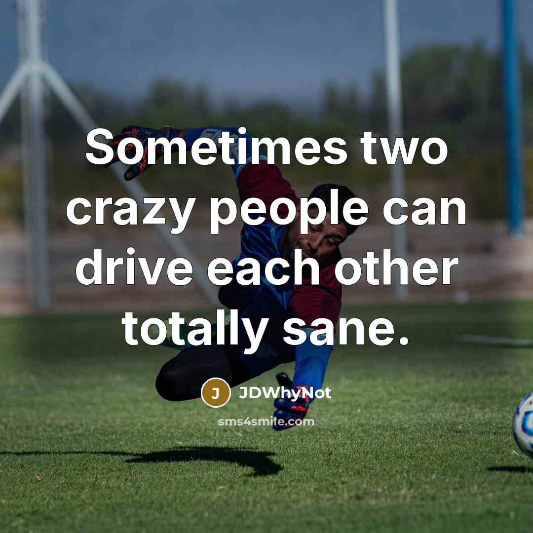 “Sometimes two crazy people can drive each other totally sane.” quote by JDWhyNot