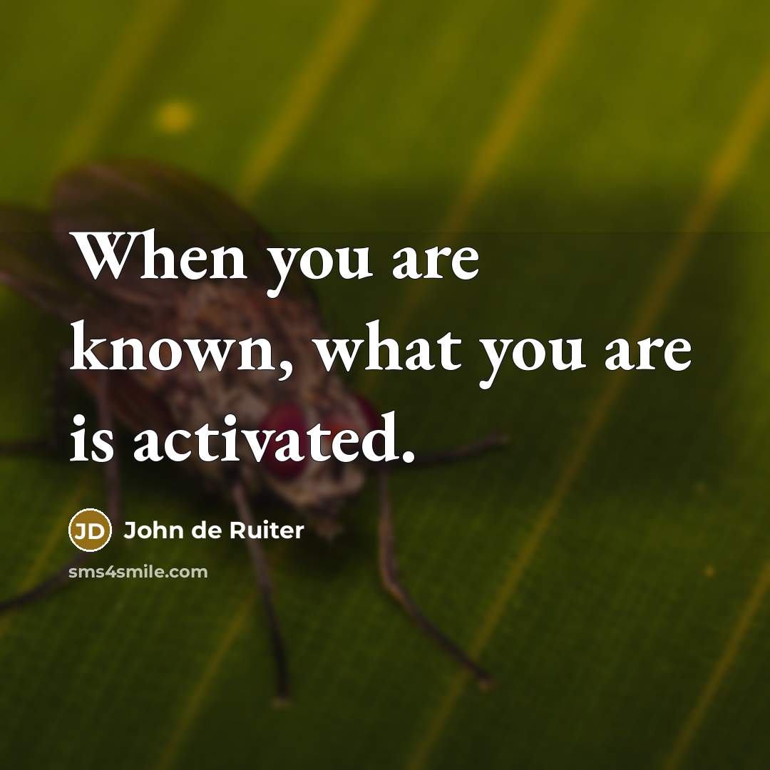 “When you are known, what you are is activated.…” quote by John de Ruiter