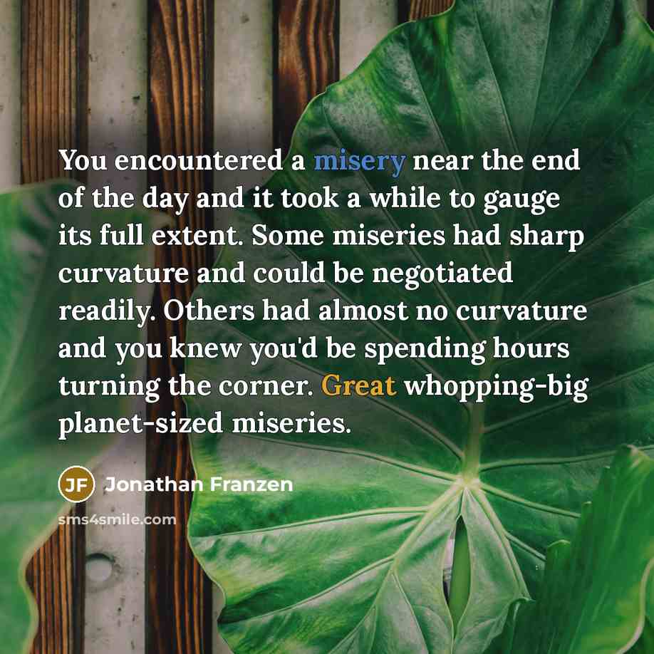 “You encountered a misery near the end of the day…” quote by Jonathan Franzen