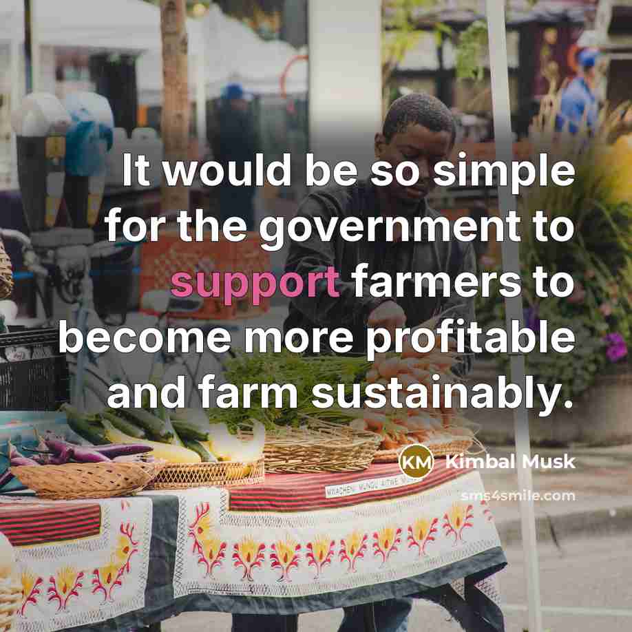 “It would be so simple for the government to support…” quote by Kimbal Musk
