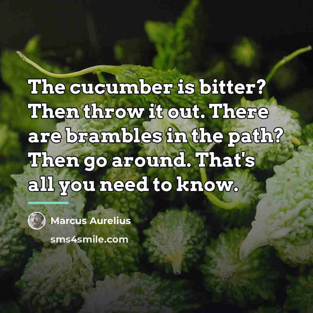 “The cucumber is bitter? Then throw it out. There are…” quote by Marcus Aurelius