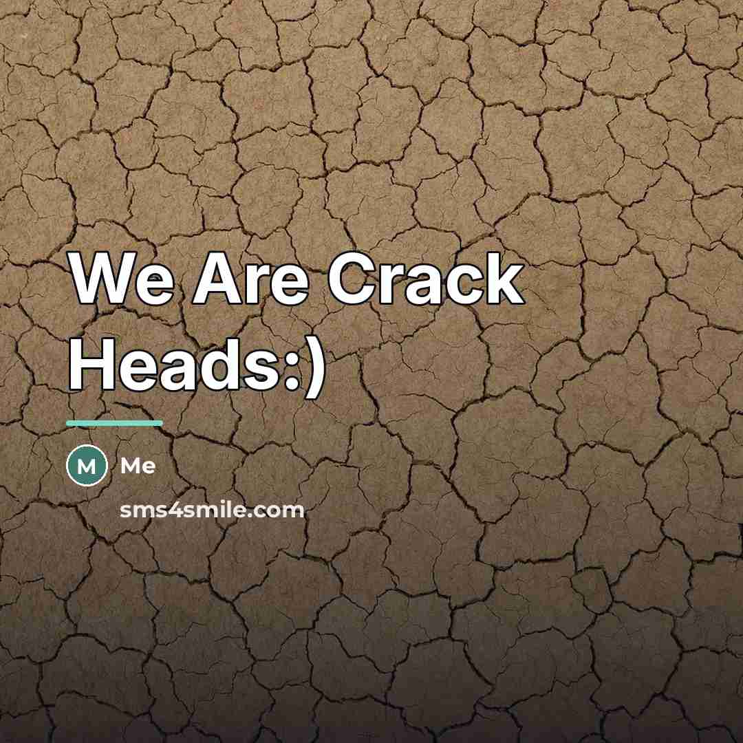 “We Are Crack Heads:)…” quote by Me