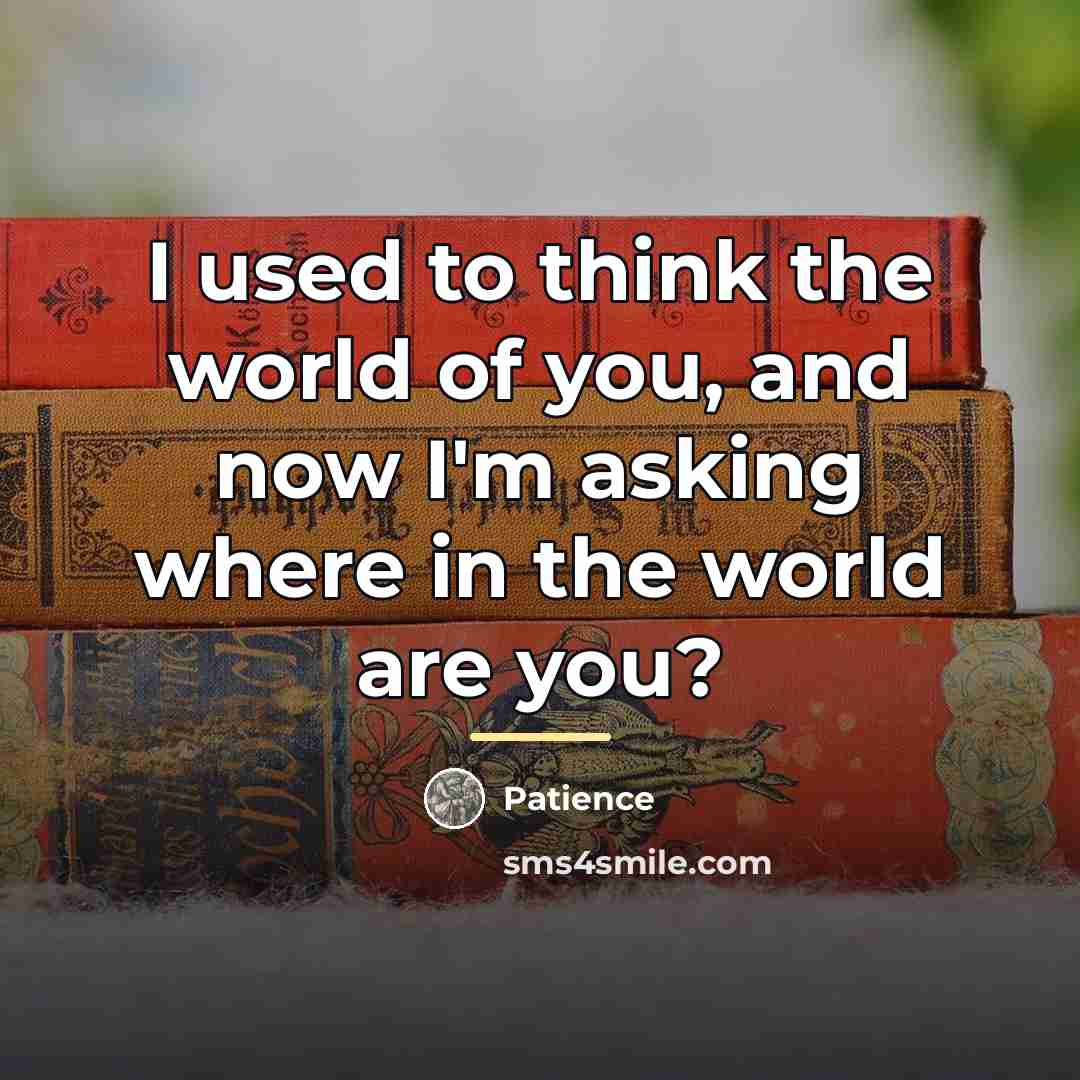 “I used to think the world of you, and now…” quote by Patience