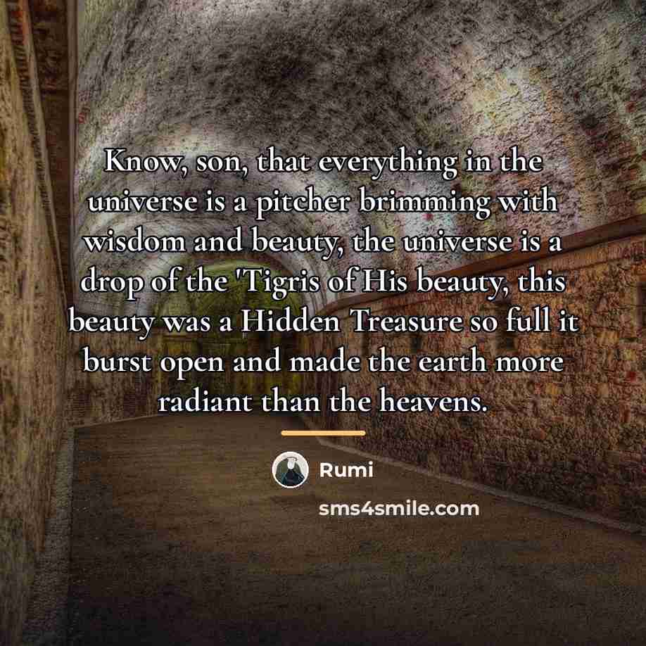 “Know, son, that everything in the universe is a pitcher…” quote by Rumi