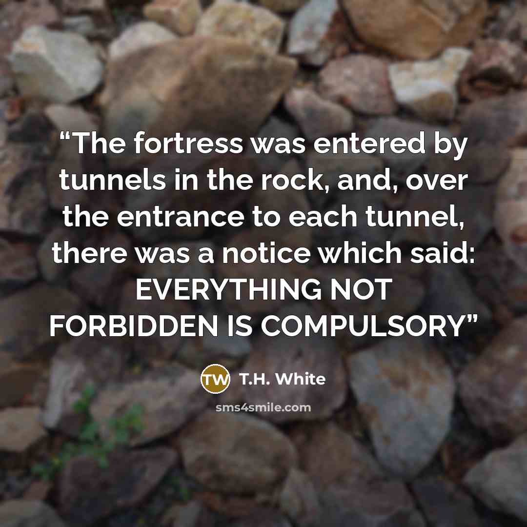 “The fortress was entered by tunnels in the rock, and, over the entrance to each tunnel, there was a notice which said: EVERYTHING NOT FORBIDDEN IS COMPULSORY” quote by T.H. White