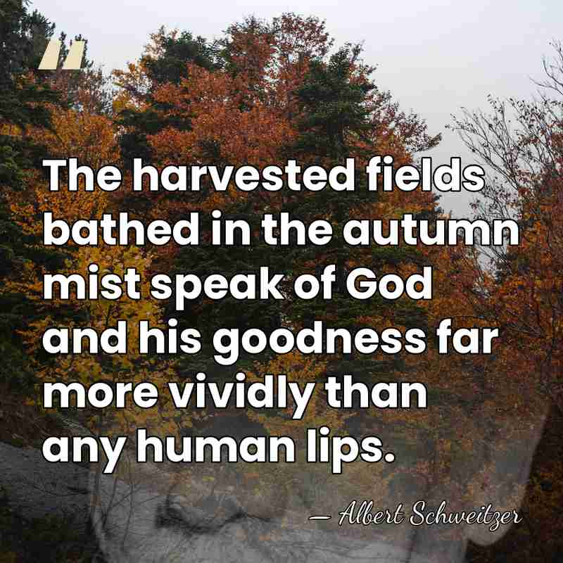 The harvested fields bathed in the autumn mist speak of God and&hellip; - Albert Schweitzer